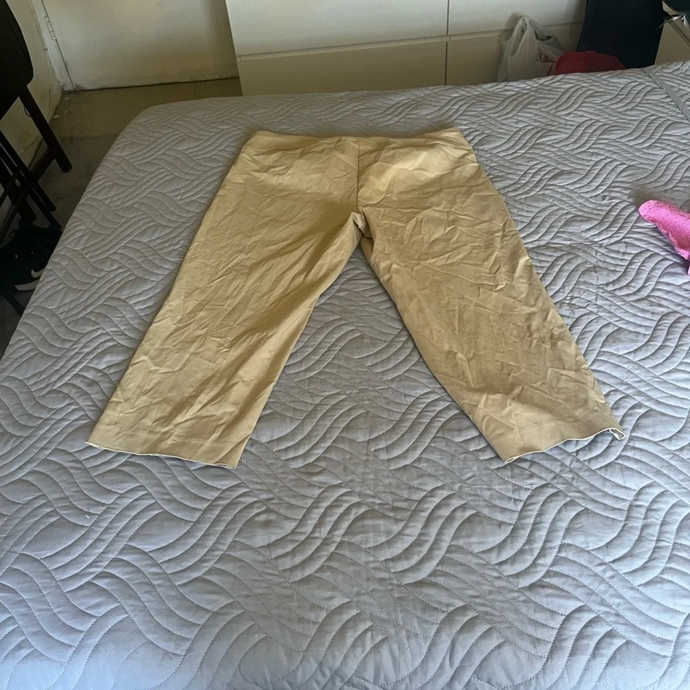 Alfani stylish cropped